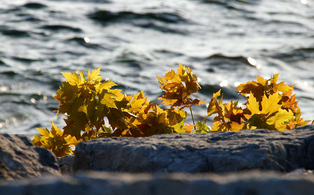 ������ �����? ����� �������  �� PhotoGeek.ru #������ ��� �������