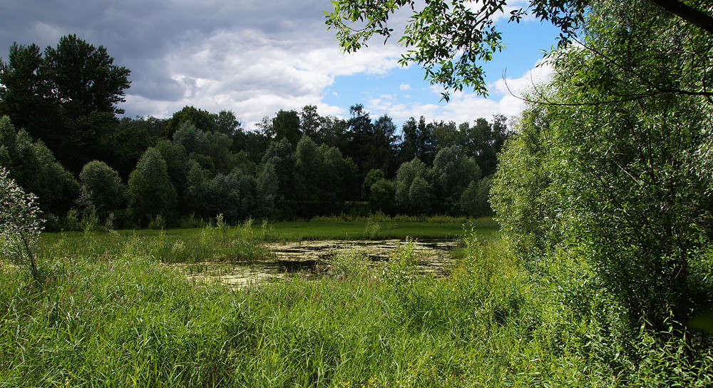 ���� ���������� ����� �������  �� PhotoGeek.ru #������ ��� �������