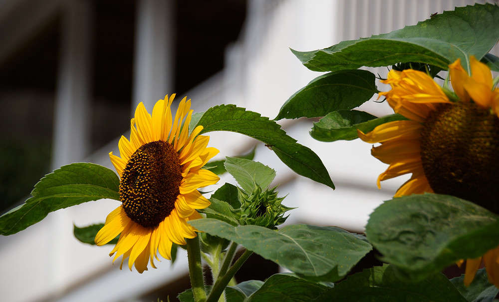 ������� ����� ���������� ����� �������  �� PhotoGeek.ru #�����