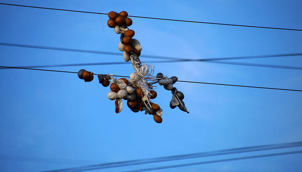 ������������� ����� �������  �� PhotoGeek.ru #�����