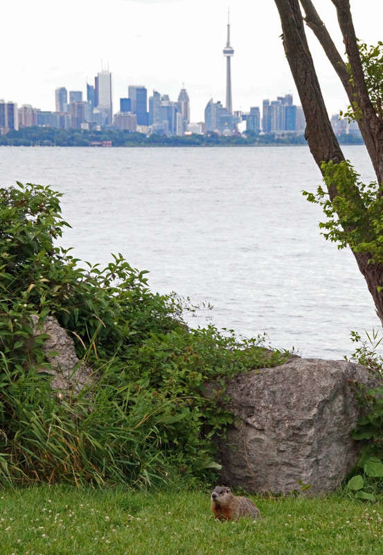 ���� ����� ����� �������  �� PhotoGeek.ru #�������� ���