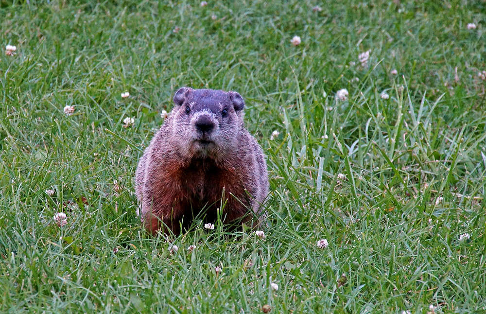 ���� � ����� ����� �������  �� PhotoGeek.ru #�������� ���