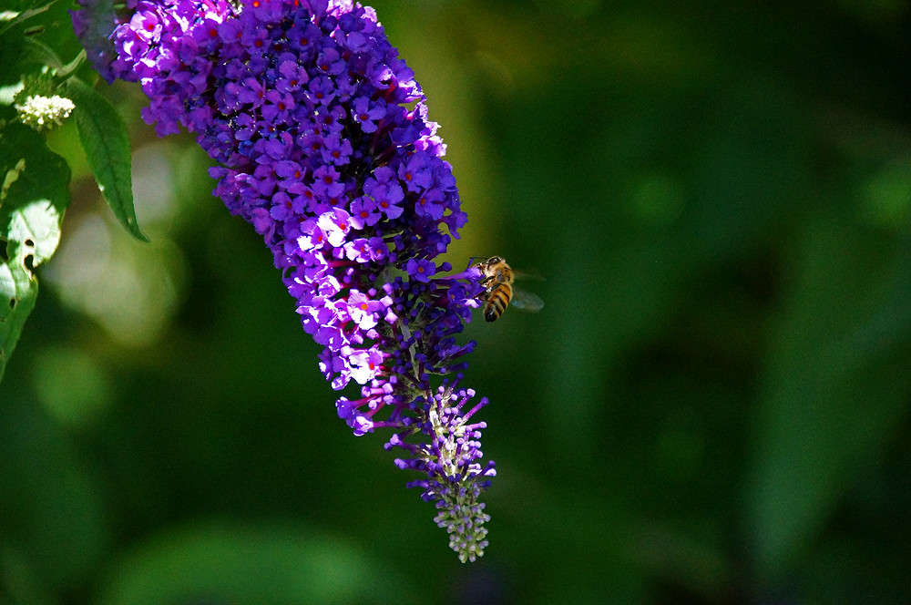 ������� ������ ����� �������  �� PhotoGeek.ru #������ ��� �������
