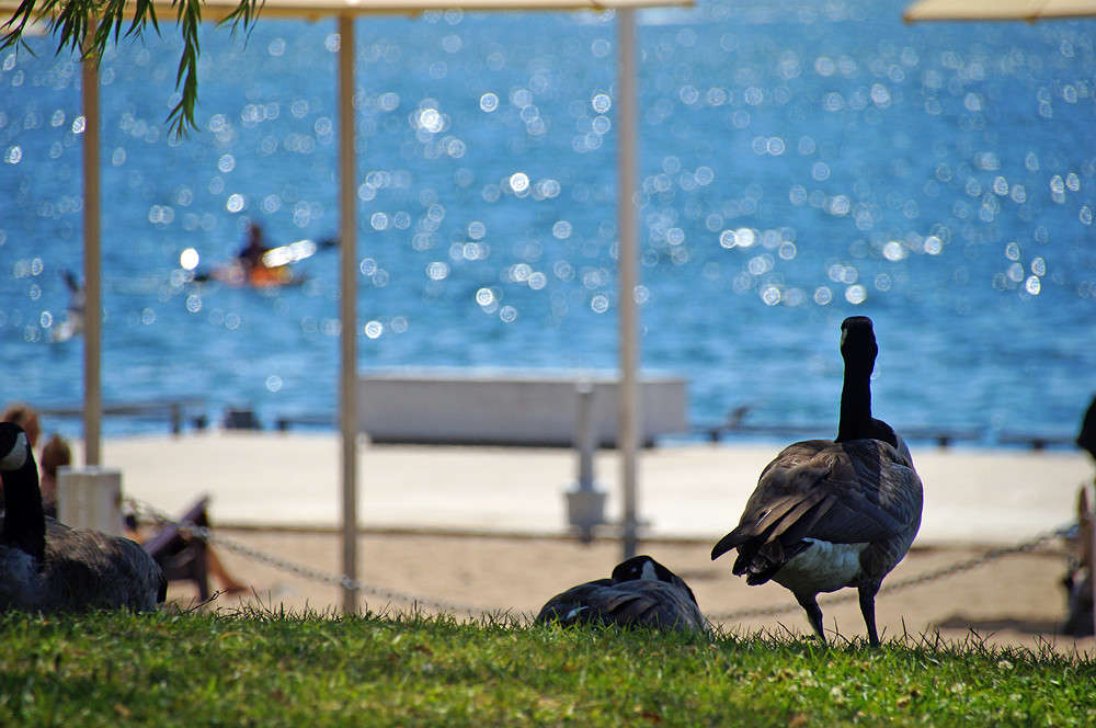 ��������� ����� �������  �� PhotoGeek.ru #�������� ���