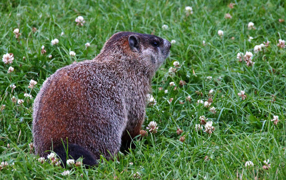 ������ ����� �������  �� PhotoGeek.ru #�������� ���