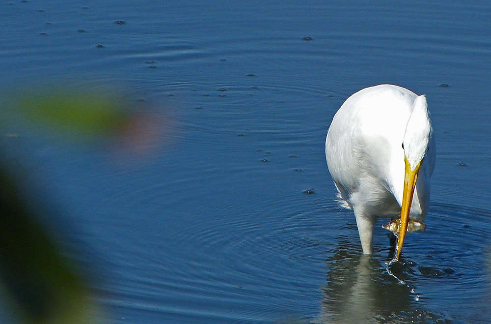 ������� ����� ������������ ����� �������  �� PhotoGeek.ru #�������� ���