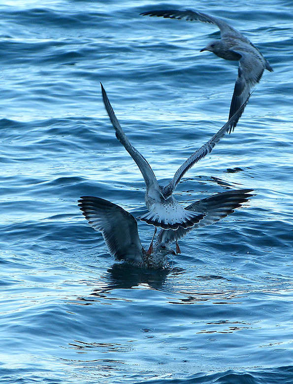 ����������� ����� �������  �� PhotoGeek.ru #�������� ���