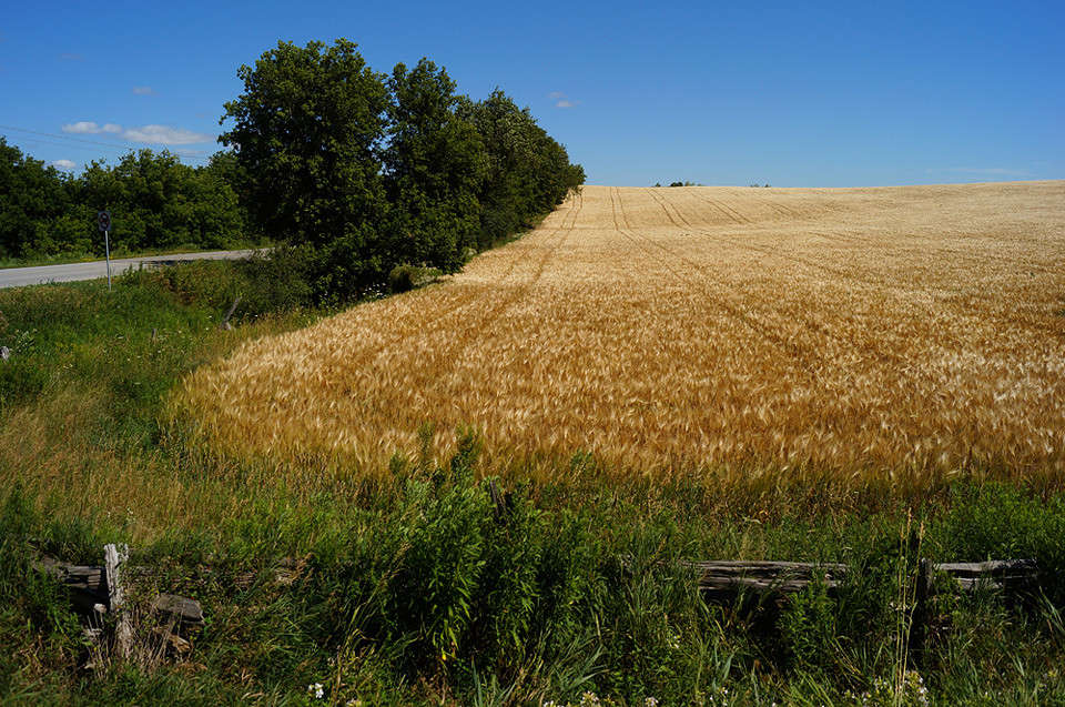 Old Base Road ����� �������  �� PhotoGeek.ru #������ ��� �������