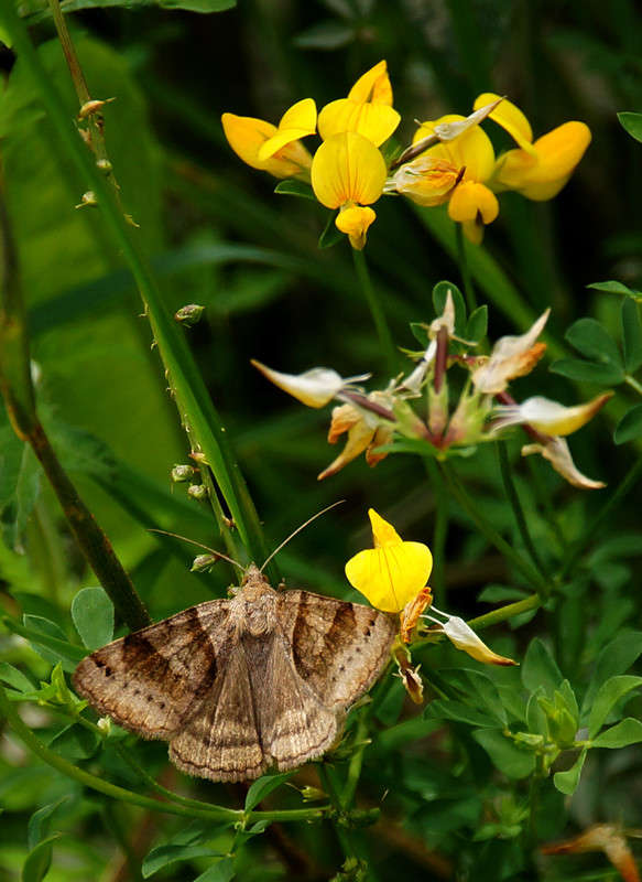 ���� � ������� ����� �������  �� PhotoGeek.ru #������ ��� �������