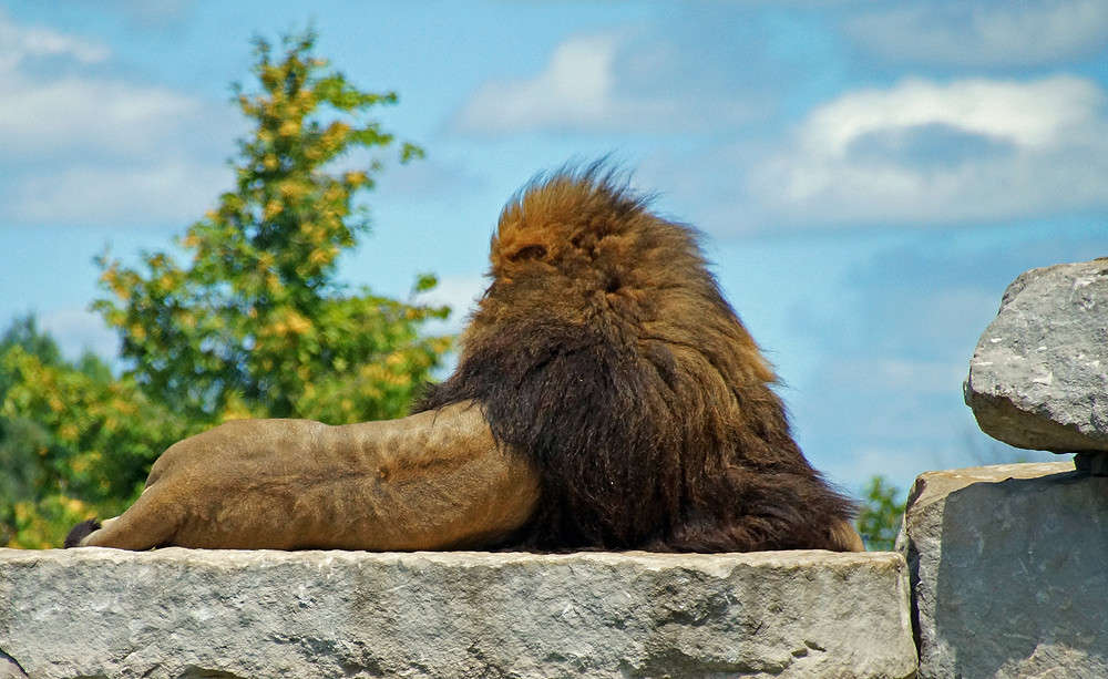 ����������� ������� � �������� ����� �������  �� PhotoGeek.ru #�������� ���