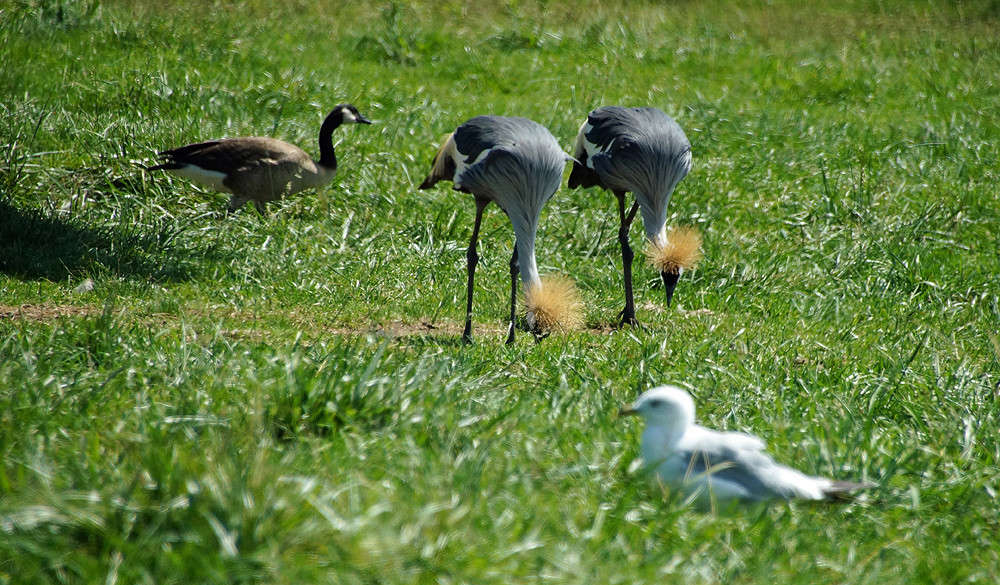 ��� �������� ������� ����� �������  �� PhotoGeek.ru #�������� ���