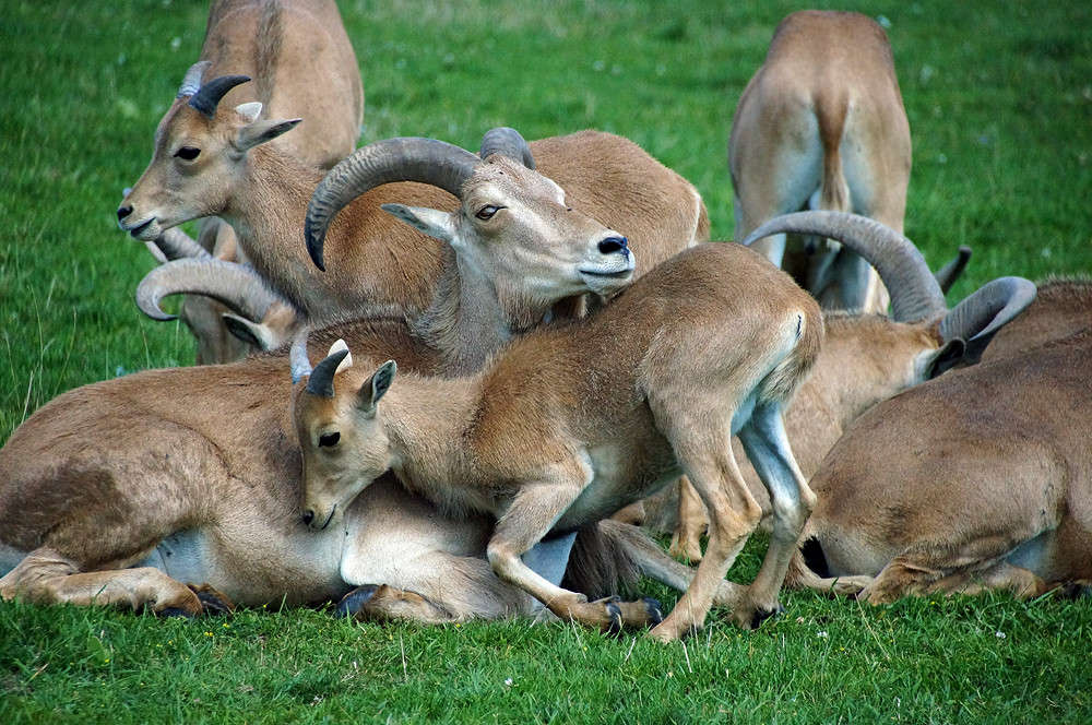 � ���� ��� ����� ����� �������  �� PhotoGeek.ru #�������� ���