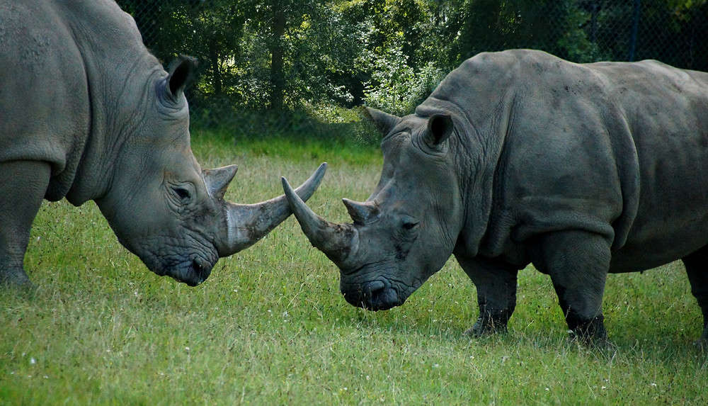 ����������� ������ ����� �������  �� PhotoGeek.ru #�������� ���