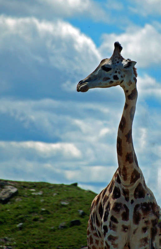 ������ ��������� ����� �������  �� PhotoGeek.ru #�������� ���