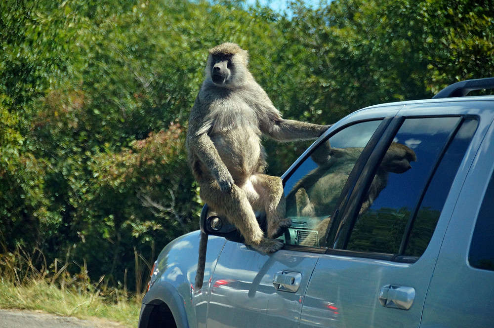 ���� ����� �������  �� PhotoGeek.ru #�������� ���