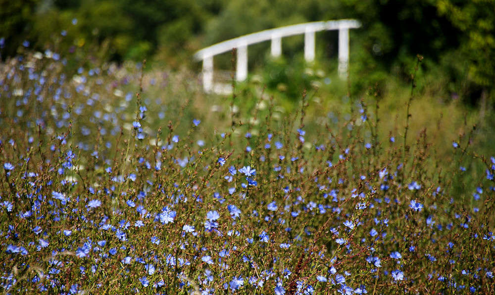 ������ ������ �������� ����� �������  �� PhotoGeek.ru #�����