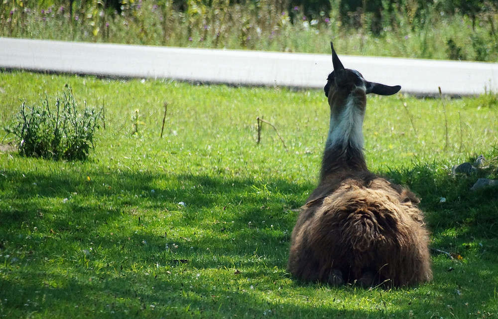 ��� ������ ������� ����� �������  �� PhotoGeek.ru #�������� ���