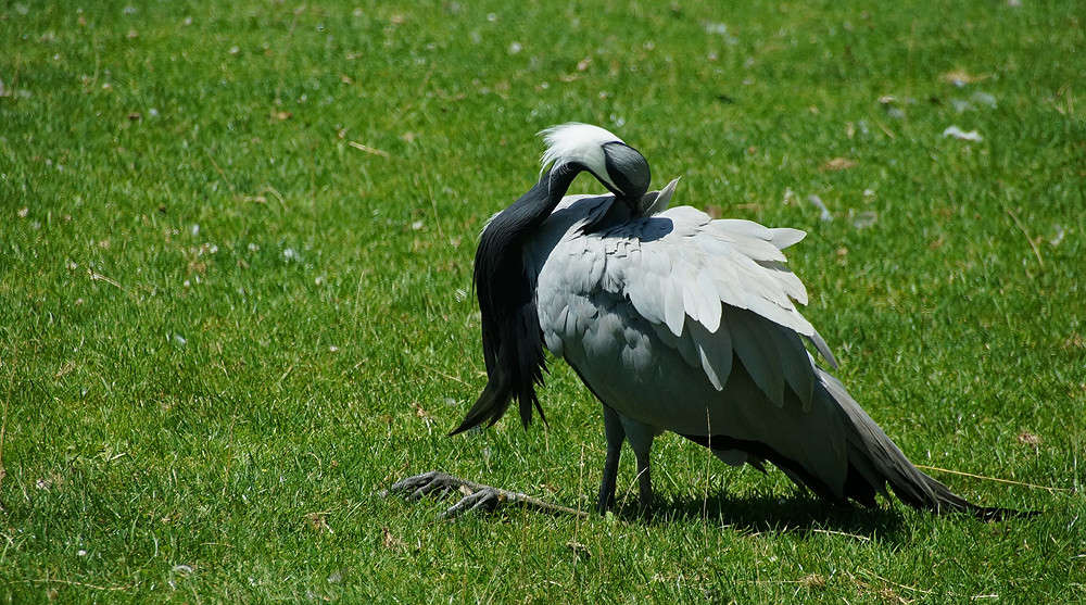 ����������� ����� �������  �� PhotoGeek.ru #�������� ���