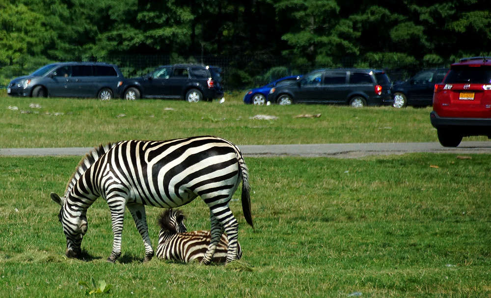 �������� ��� ���� ����� �������  �� PhotoGeek.ru #�������� ���