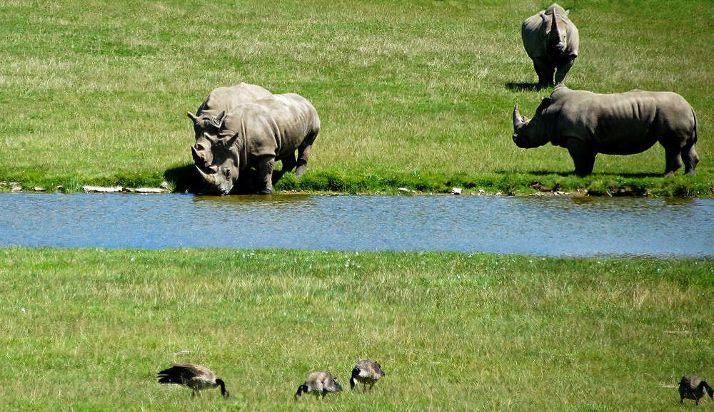 ��������� ���� ����� �������  �� PhotoGeek.ru #�������� ���