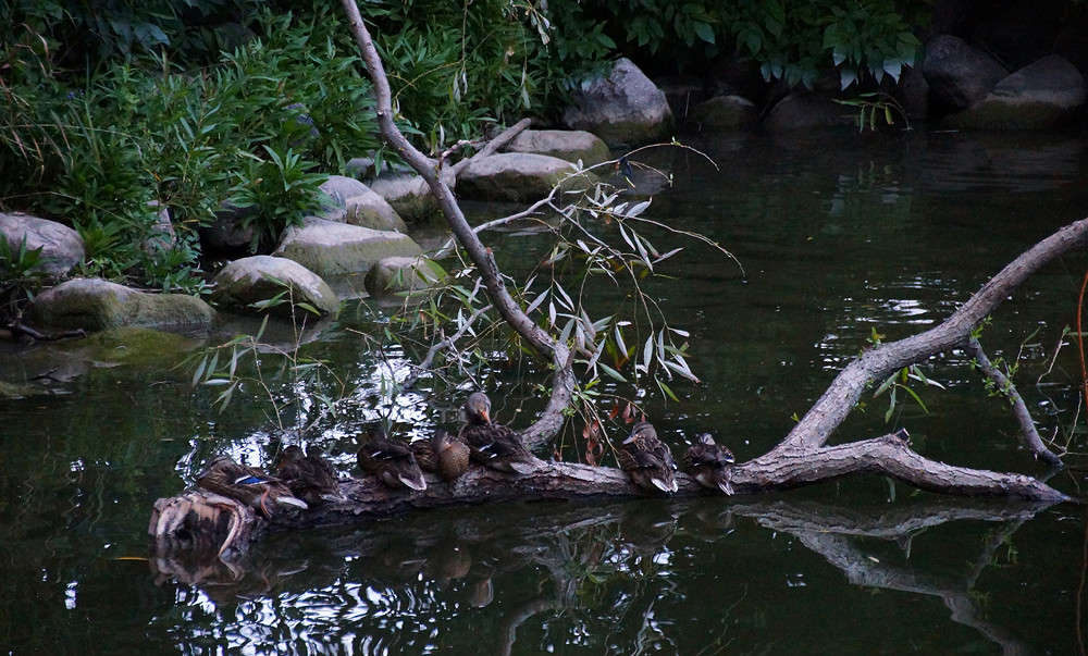 ������������ �� ���� ����� �������  �� PhotoGeek.ru #�������� ���