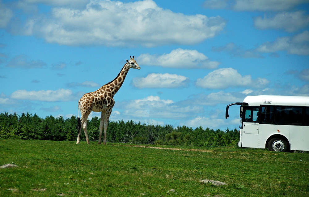 �������� ����� �������  �� PhotoGeek.ru #�������� ��� #�������� ����������