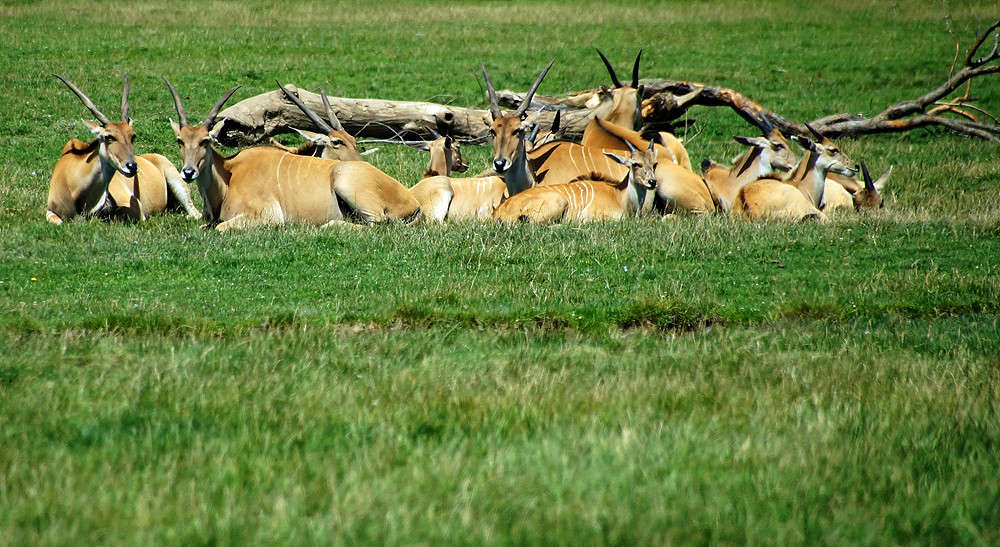 ��� ����� ����� ����� �������  �� PhotoGeek.ru #�������� ���