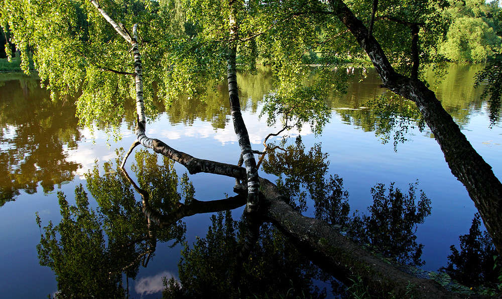 ����� ������ ����� ����� �������  �� PhotoGeek.ru #������ ��� �������