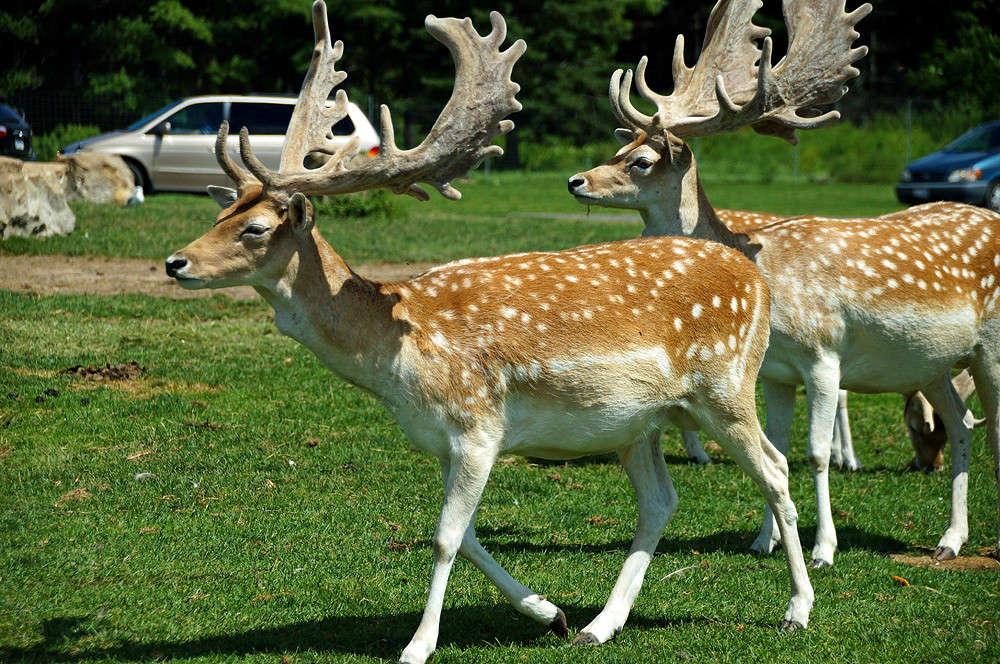 ����� �������� ����� �������  �� PhotoGeek.ru #�������� ���