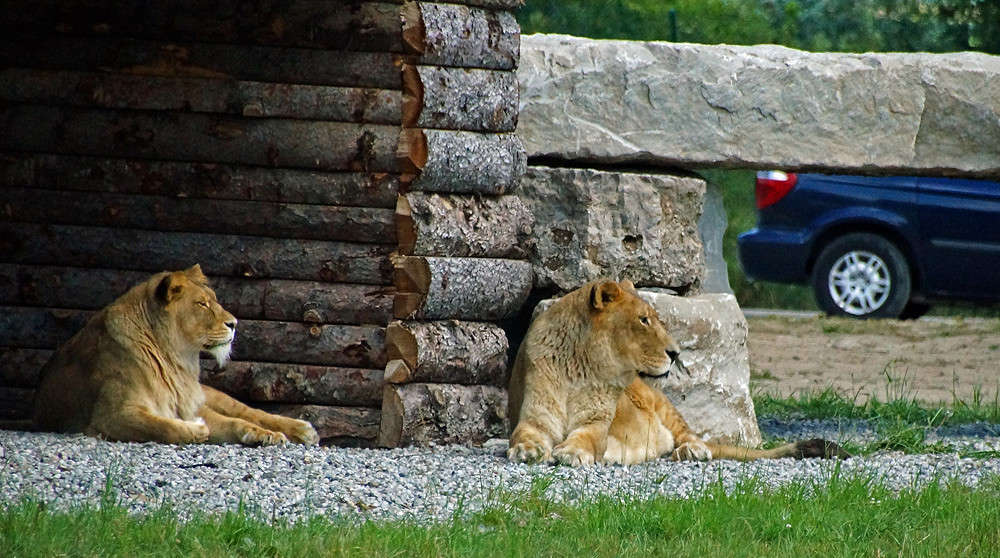 ������������ ��� ����� �������  �� PhotoGeek.ru #�������� ���