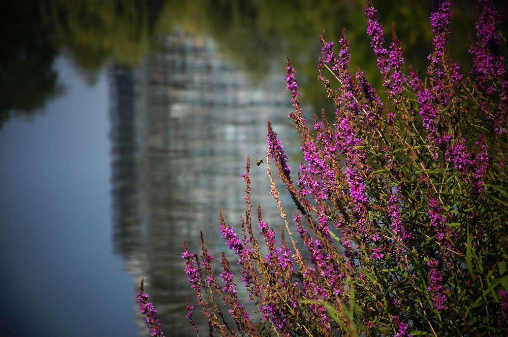 ������� ����� �������  �� PhotoGeek.ru #������ ��� �������