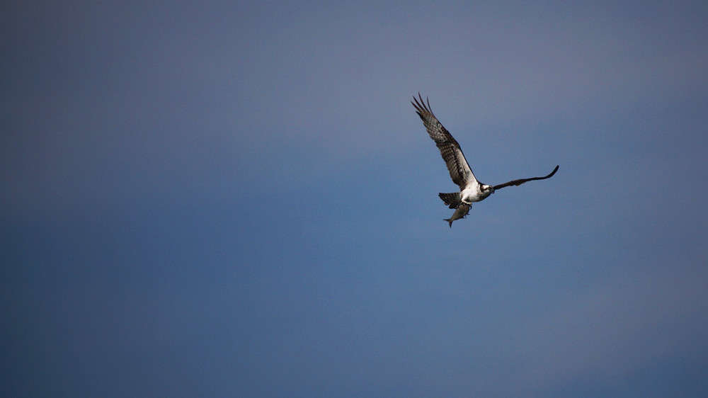 ������ ����� �������  �� PhotoGeek.ru #�������� ���