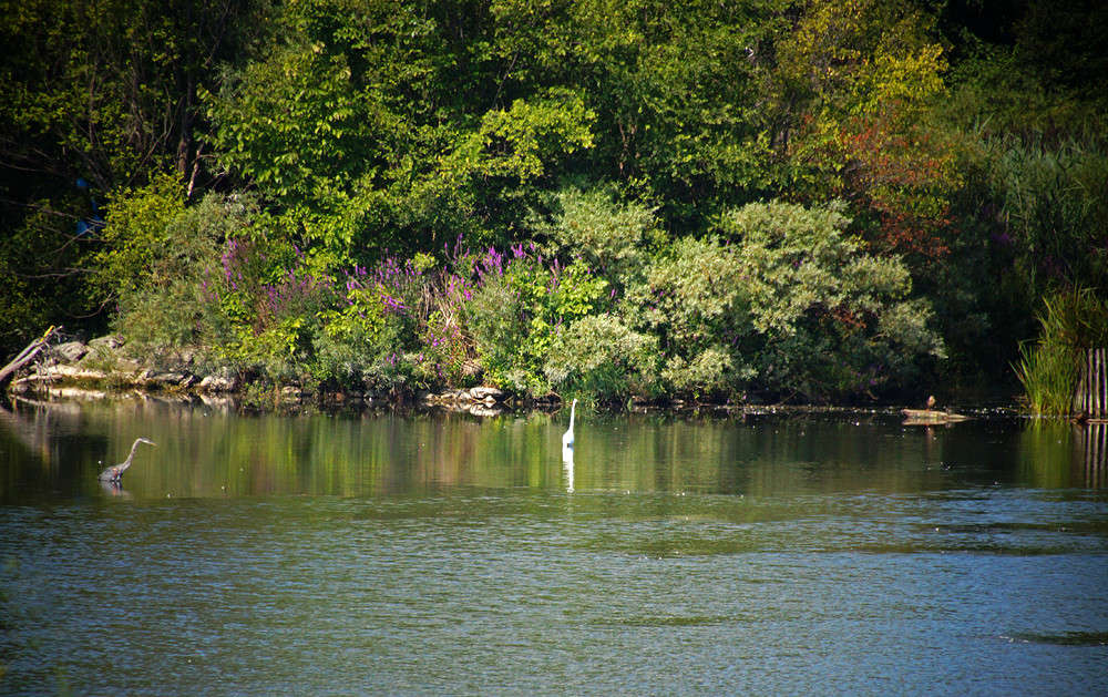 ���� ������� ����� �������  �� PhotoGeek.ru #�������� ���