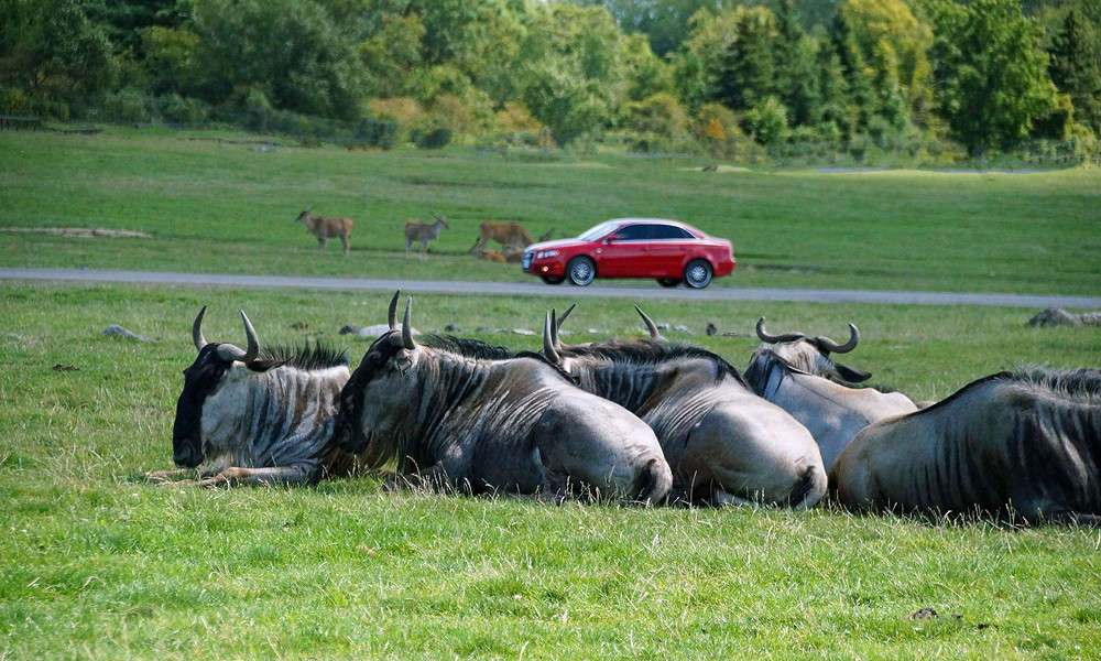 ������� � ������ �������� ����� �������  �� PhotoGeek.ru #�������� ���