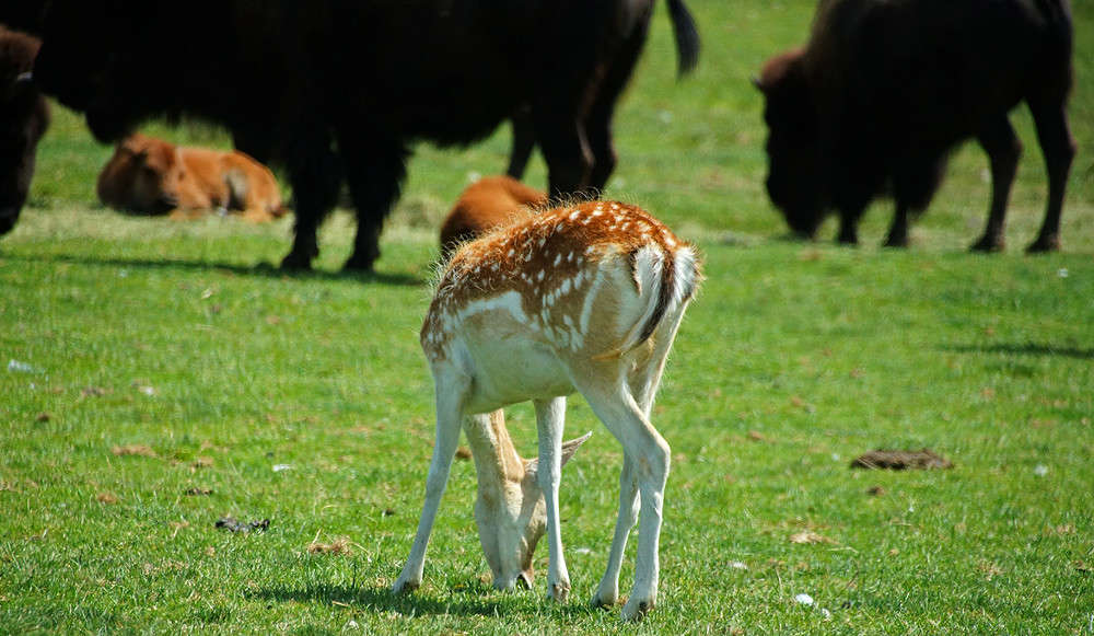 ����� ��� �������� ������� ����� �������  �� PhotoGeek.ru #�������� ���