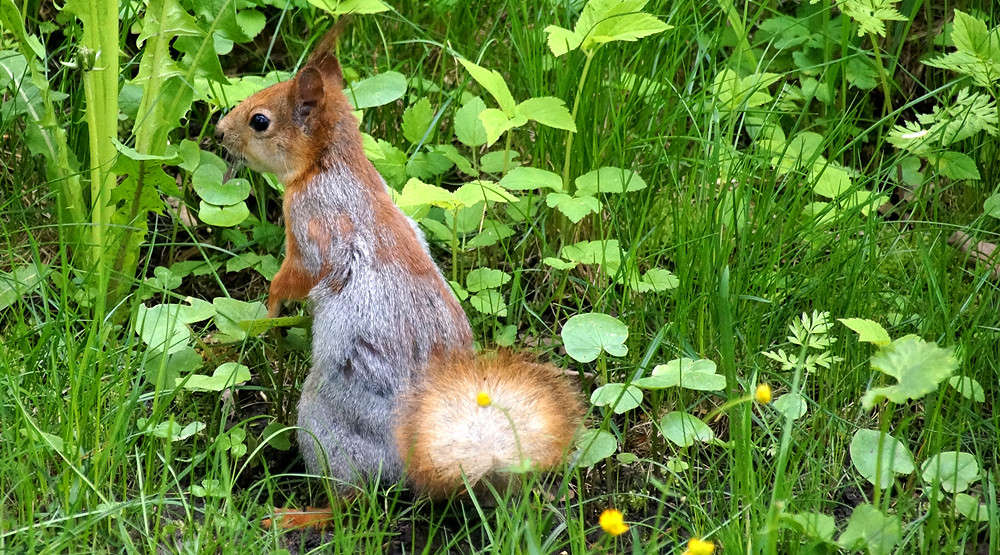 ������������ ����� �������  �� PhotoGeek.ru #�������� ���