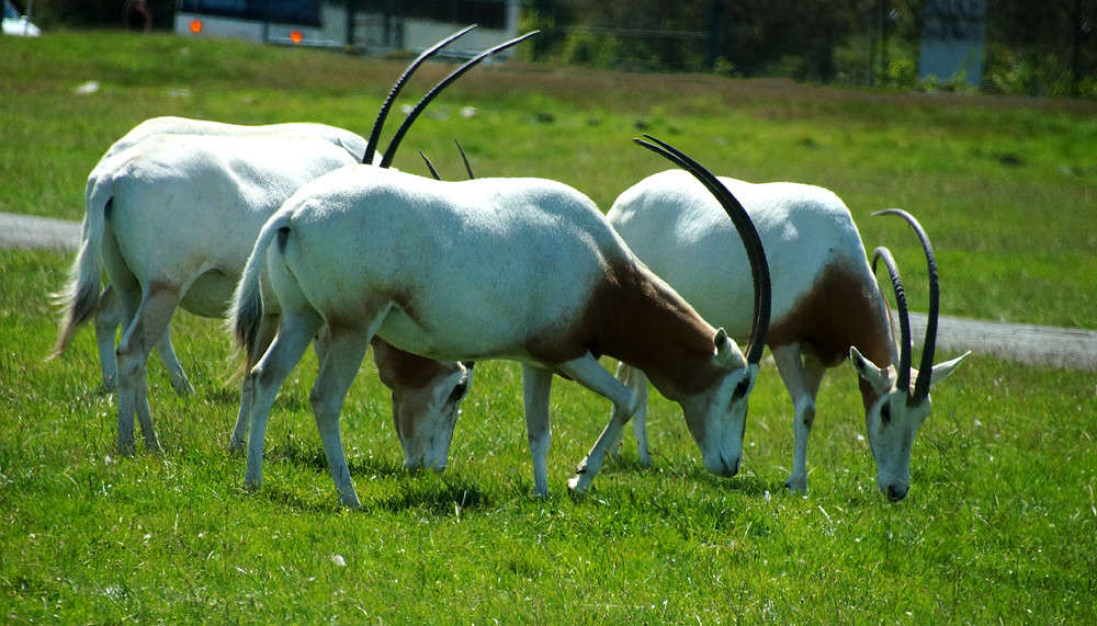 �� ������ ����� �� ������� ����� �������  �� PhotoGeek.ru #�������� ���