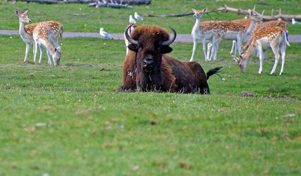 ����� �������� ����� �������  �� PhotoGeek.ru #�������� ���