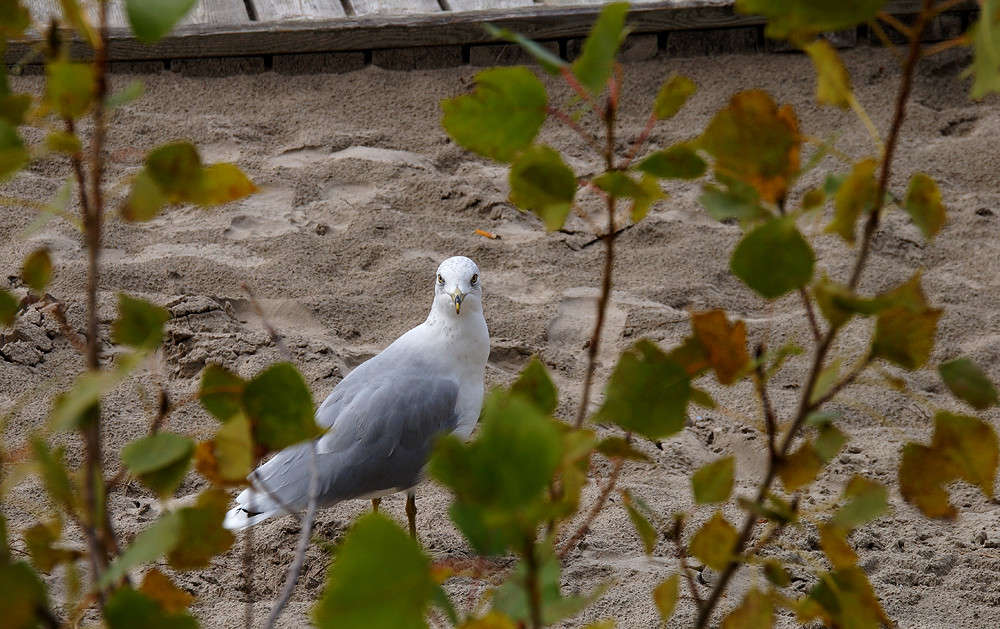 ���� � �������� ����� �������  �� PhotoGeek.ru #�������� ���