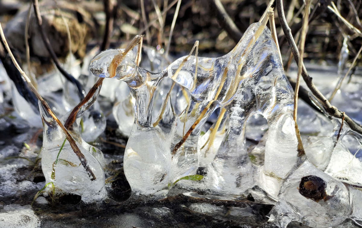 �����-������ ����� �������  �� PhotoGeek.ru #������ ��� �������