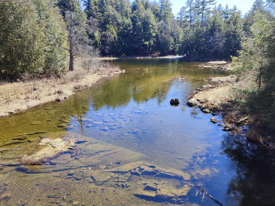 ����� ������� ���� ����� �������  �� PhotoGeek.ru #������ ��� �������