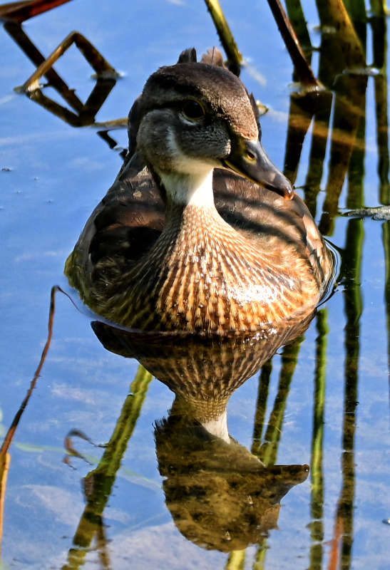 ������� ����� �������  �� PhotoGeek.ru #�������� ���