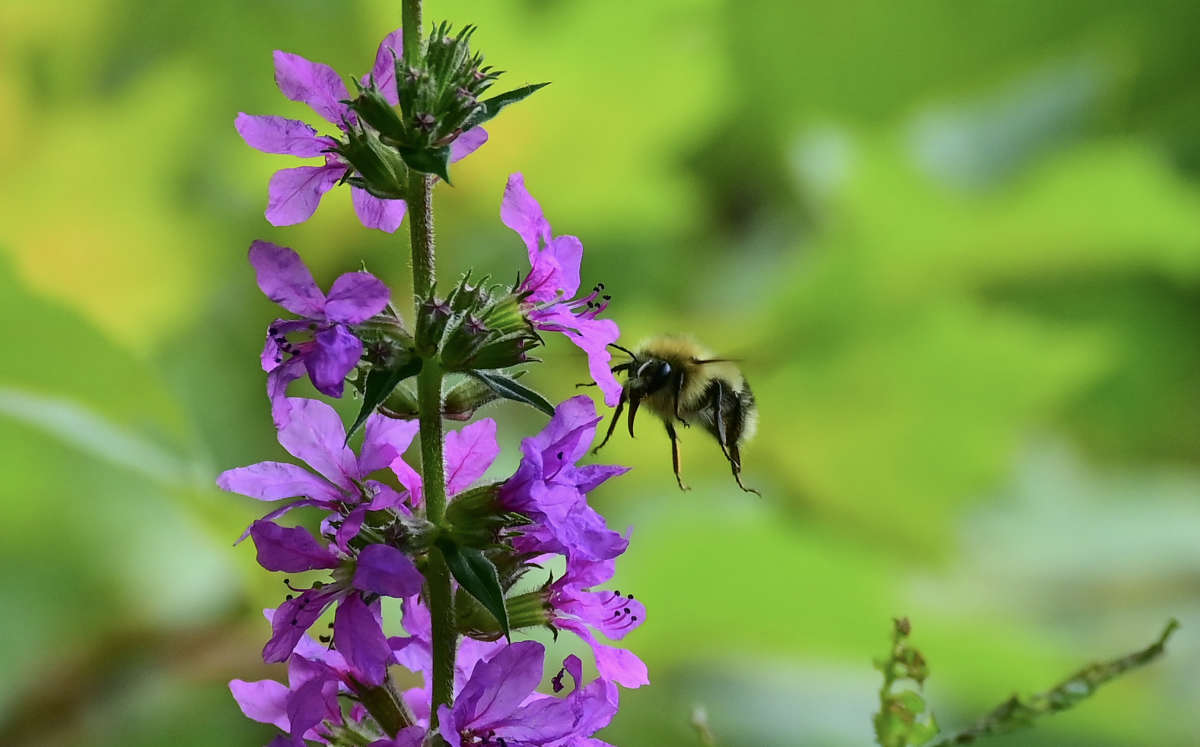 ��������� ����� �������  �� PhotoGeek.ru #�������� ���