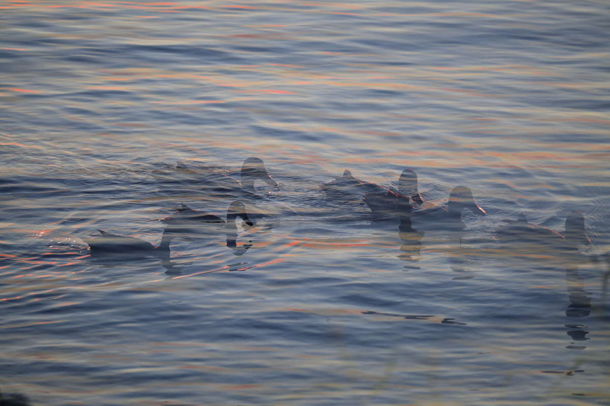 ���� ����� �������  �� PhotoGeek.ru #�������� ����������