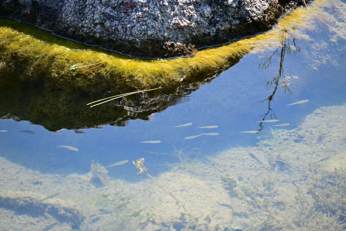 ������������ ��� ����� �������  �� PhotoGeek.ru #������ ��� �������