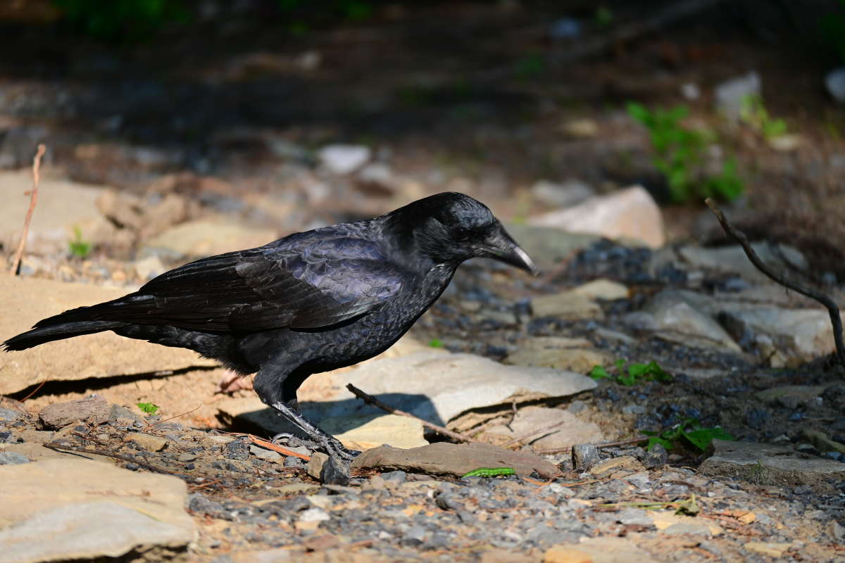 ����� ��������� ����� �������  �� PhotoGeek.ru #�������� ���