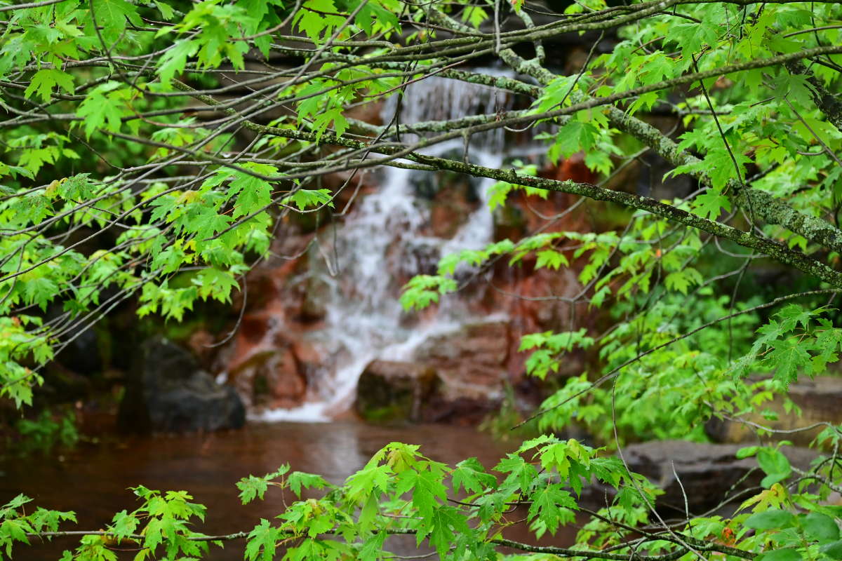 ������ ����� ����� �������  �� PhotoGeek.ru #������ ��� �������