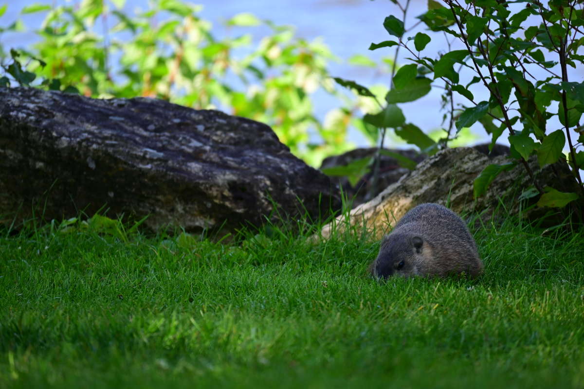 ���� ����������� ����� �������  �� PhotoGeek.ru #�������� ���