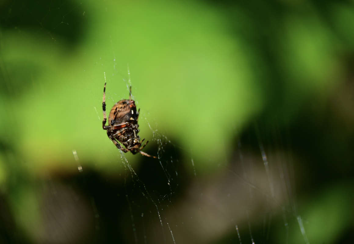 ��������� ����� �������  �� PhotoGeek.ru #�������� ���