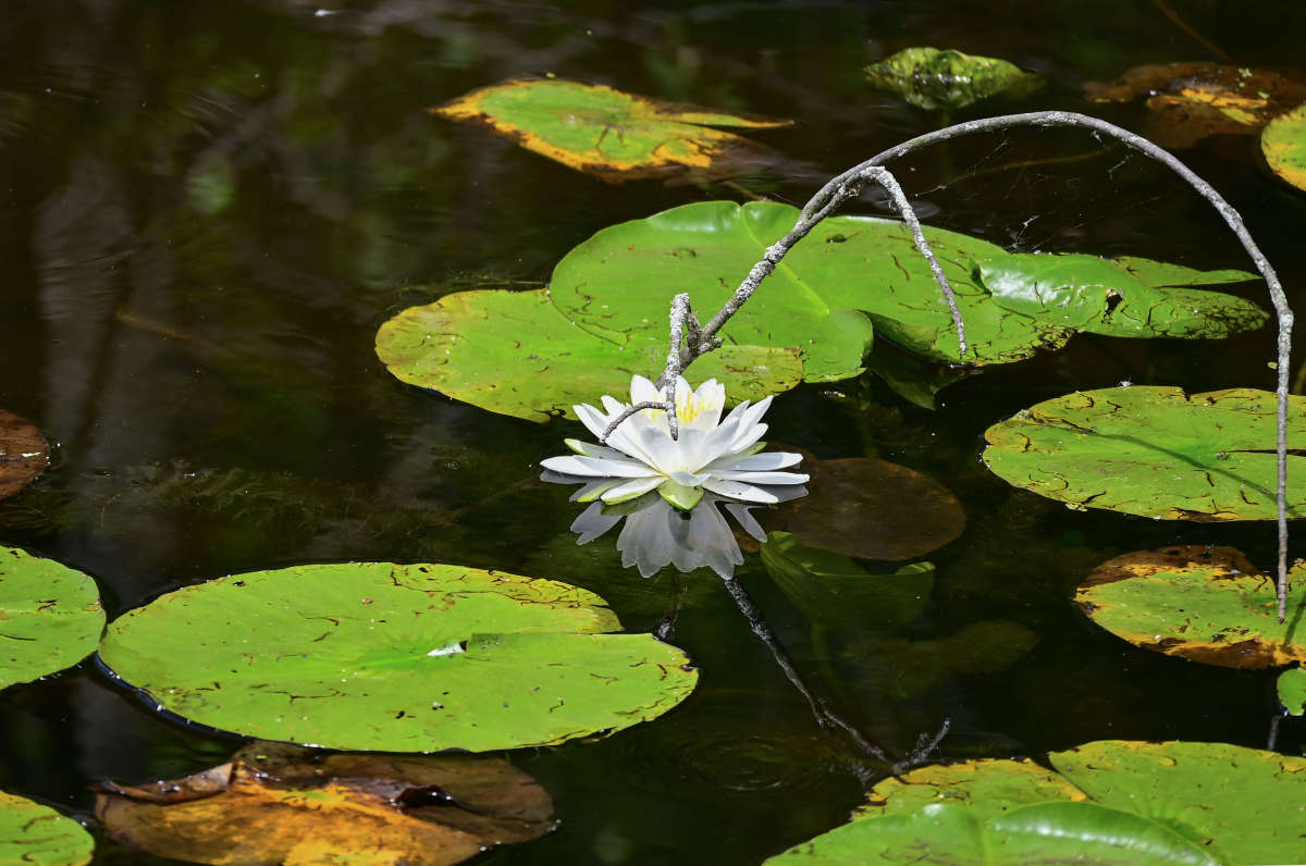 ��������� ����� �������  �� PhotoGeek.ru #������ ��� �������